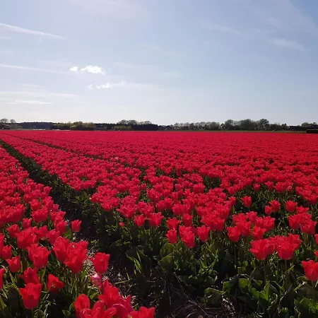 Kust-, Fiets-, Wandel-, Rust- & Cultuurlocatie Castricum
